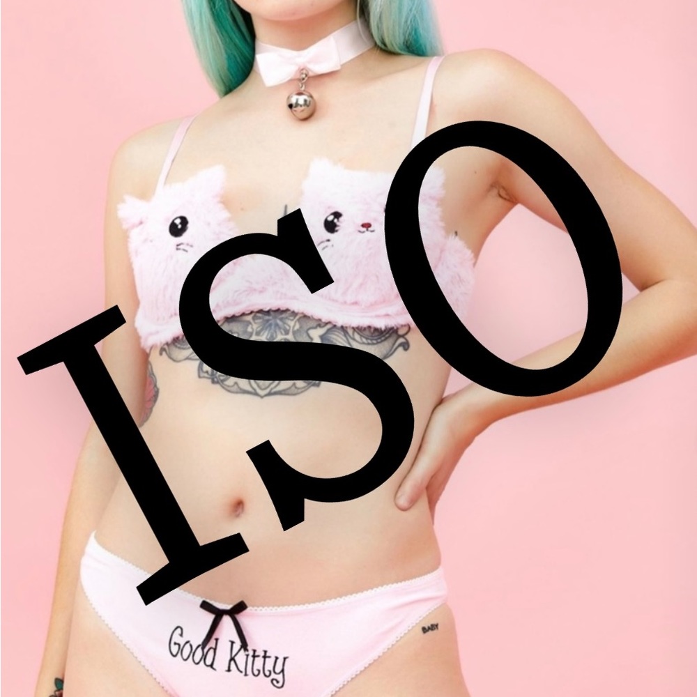 I am seriously looking to buy this Good Kitty set